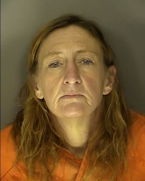 Mugshot of GINA LARAE WILSON