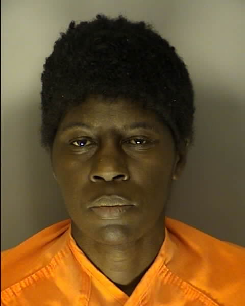 Mugshot of ZENIA LETIECHE WILSON