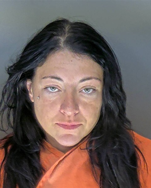 Mugshot of MADELYN SUE ABATE