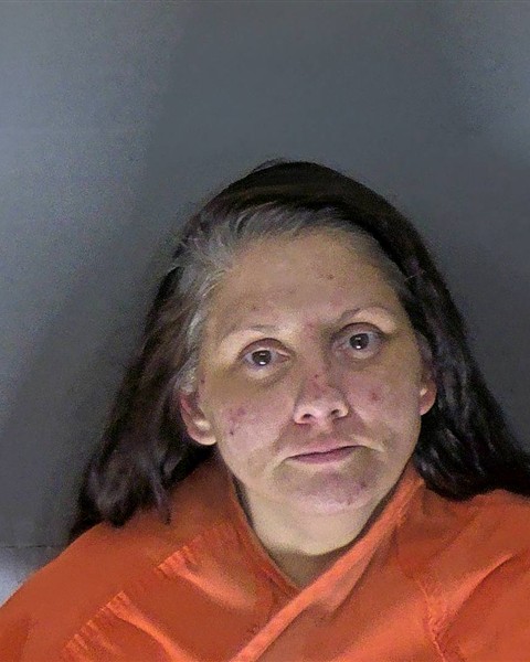 Mugshot of ERICA ROLANE CANNON