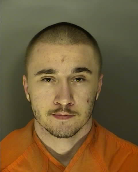 Mugshot of LEVI GEORGE COX