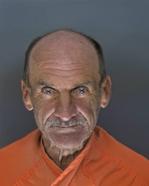 Mugshot of SHAWN FREDRICK BRACKEN