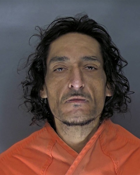 Mugshot of SIMON DAVID DERER