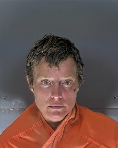 Mugshot of DAWN KIMBERLY STEVENS