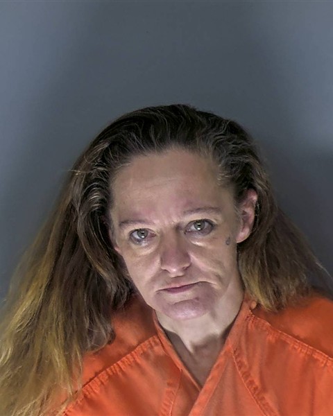Mugshot of ROBIN ANNETTE DARPINO