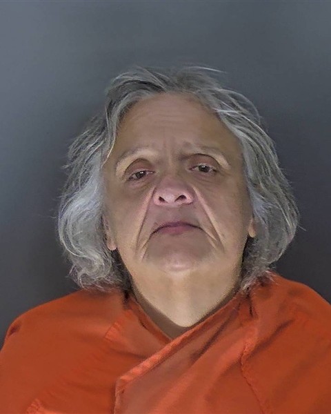 Mugshot of CHRISTEEN ANN HOPKINS