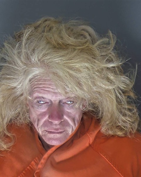 Mugshot of LYNNE LEIGH HALEY