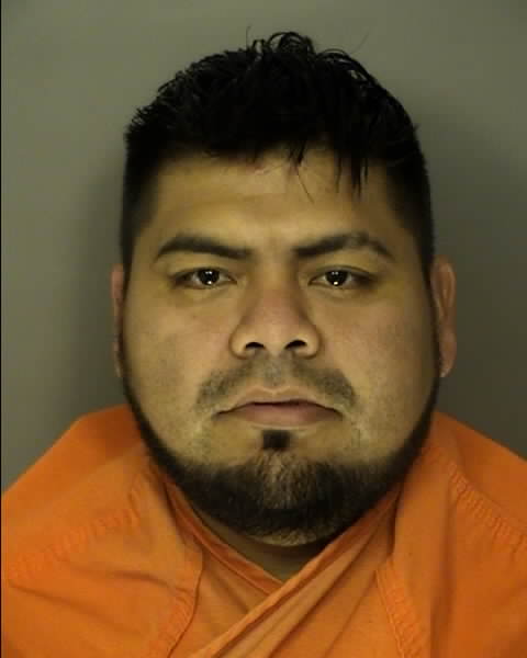 Mugshot of FERNANDO XIMELLO GONZALEZ