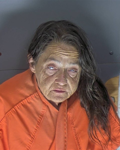 Mugshot of SHEENA JAMES