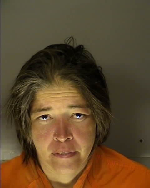 Mugshot of AMANDA NOEL DUDNEY