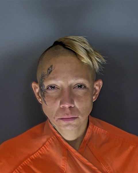 Mugshot of BRITTANY KAYE WIELFAERT