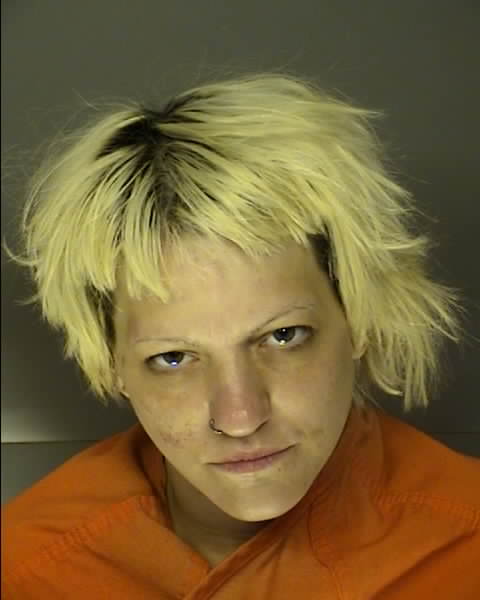 Mugshot of ALICIA SOBIESKI