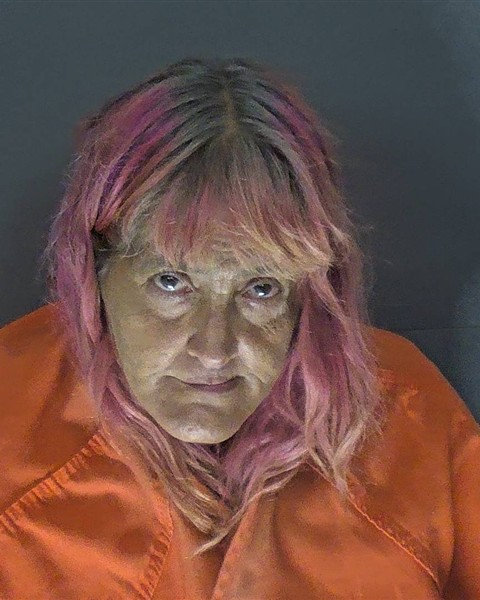 Mugshot of KIMBERLY LYNN HEITZMANN