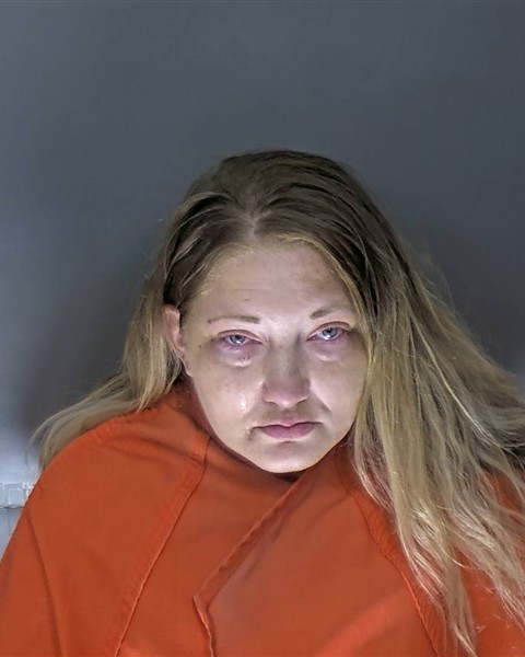 Mugshot of ASHLEY ARIEL METCALF