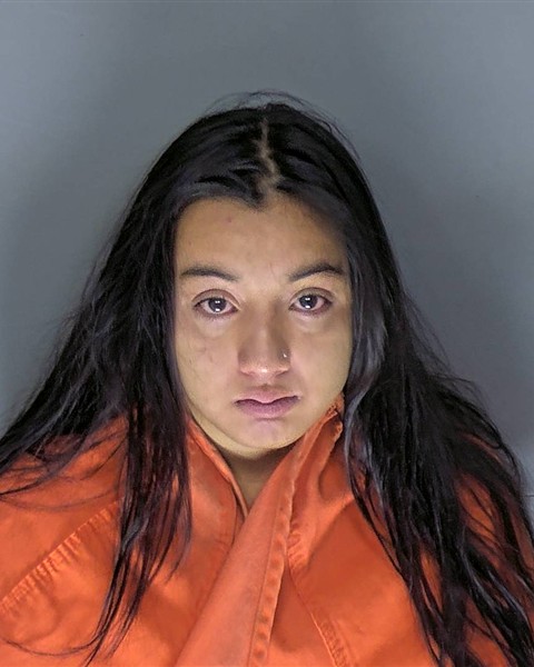Mugshot of ANGELIA KIM MINERVINI