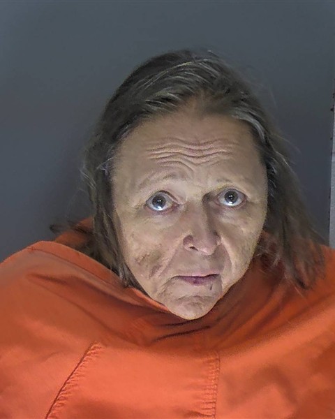 Mugshot of SUSAN RAE ZEIMETZ