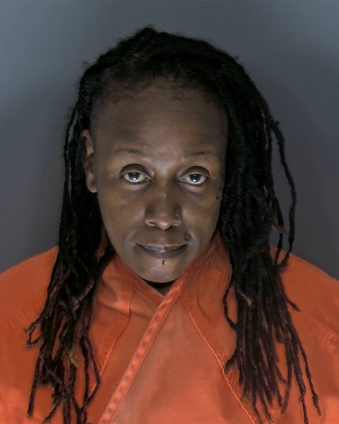 Mugshot of TENESHIA SHANTELLE POMMELLS