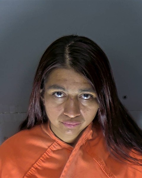 Mugshot of IRENE CABOS MEZA
