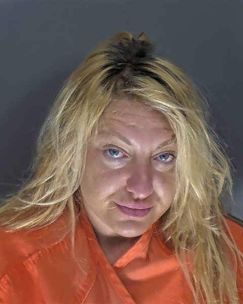 Mugshot of SHARON LEE VOLLMER