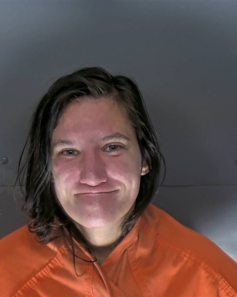 Mugshot of ELIZABETH ANNE PERRY