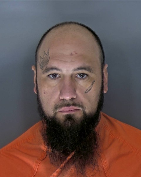 Mugshot of LEVI ALLAN CLAY WELLS