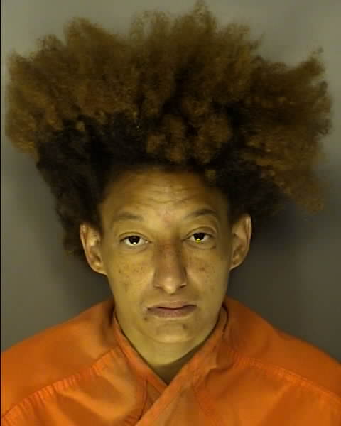 Mugshot of TANISHA DIANE BLADES