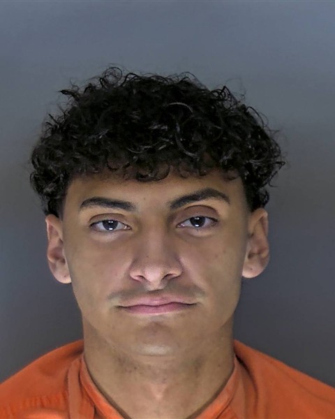 Mugshot of EVAN DOS SANTOS KARAMITSOS