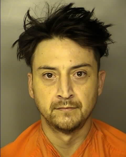 Mugshot of MARK ANTHONY NEYLAN