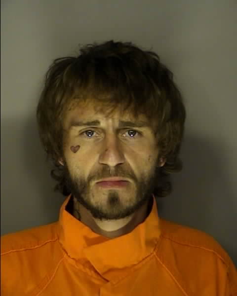 Mugshot of DONALD ALLAN DEMARINO