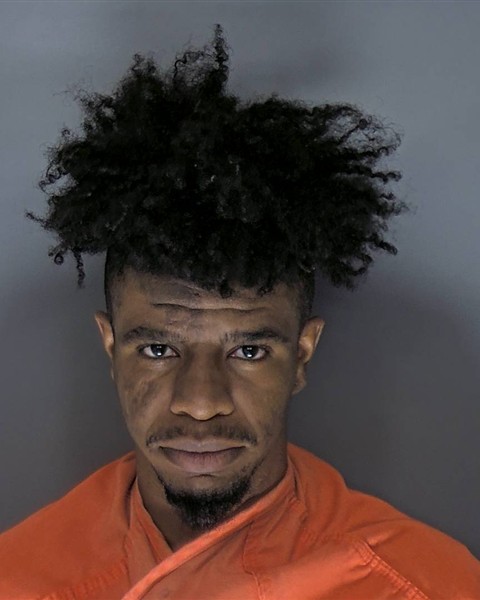 Mugshot of RONNIE WAYNE HOLMAN