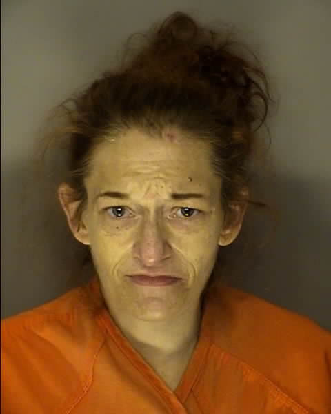 Mugshot of CHRISTINE CATHERINE GIURCO