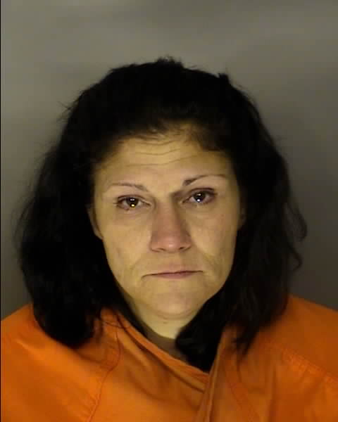 Mugshot of LESA STEGALL CRUM