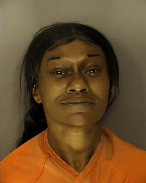 Mugshot of MESHELLE JANIEL JOHNSON