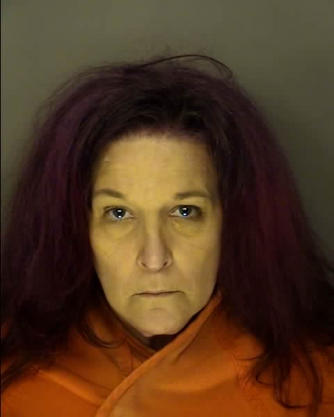 Mugshot of LEIGH ANN RAYNO