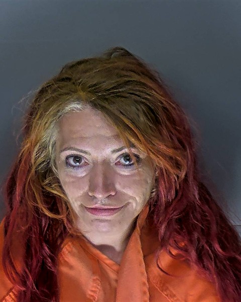 Mugshot of ERICA STELLA CREECH