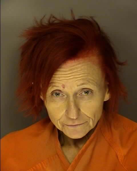 Mugshot of PAMELA JOAN LYDIA