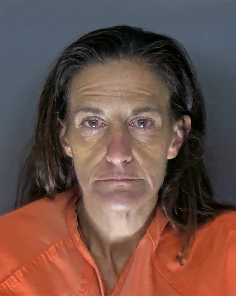 Mugshot of ELLYN JAMIE JOHNSON