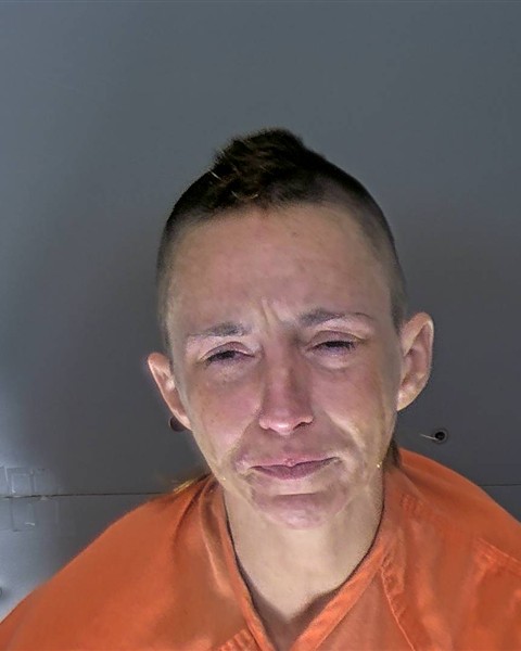 Mugshot of ASHLYN ADAMS WYATT