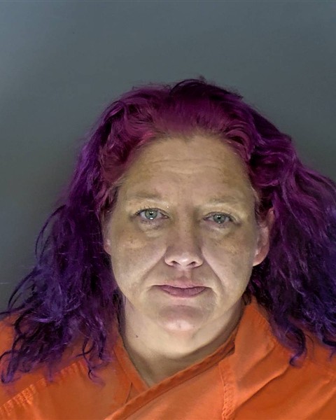 Mugshot of SHANNON DAWN WALLIN
