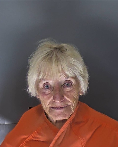 Mugshot of ELEANOR ELAINE DETTLAFF