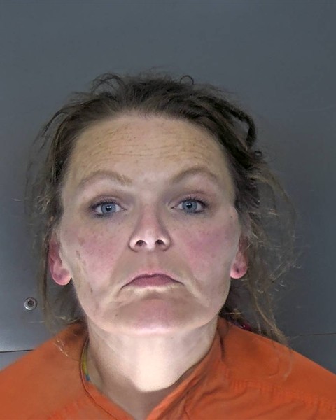 Mugshot of FELICIA ANN CLEMENS