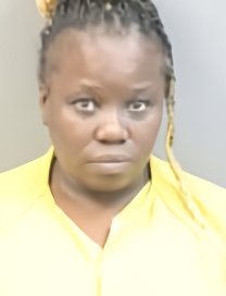 Mugshot of TINA LOUISE HAM