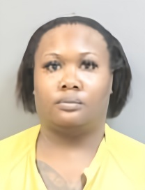 Mugshot of ASHLEY THOMAS
