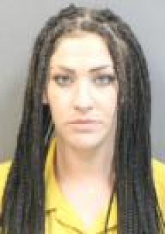 Mugshot of MEGAN JOANNE STEPHENS