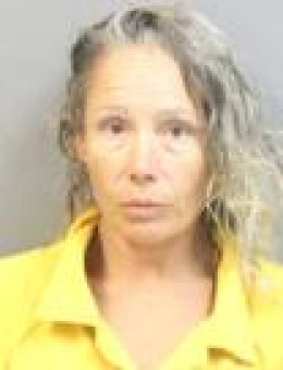 Mugshot of TIA RENEE DIXON
