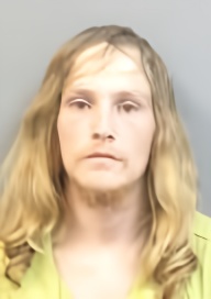 Mugshot of DAVID WILL STOGNER
