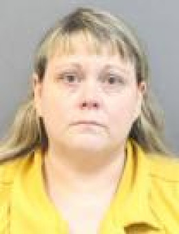 Mugshot of TINA LEANN WATTS