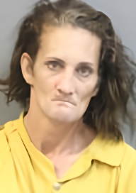 Mugshot of SHYANN MARIE SKY