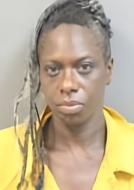 Mugshot of MASHAVA KIZUWANDA WILLIAMS