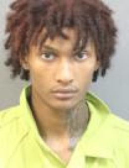 Mugshot of ELIJAH AARION FISHER